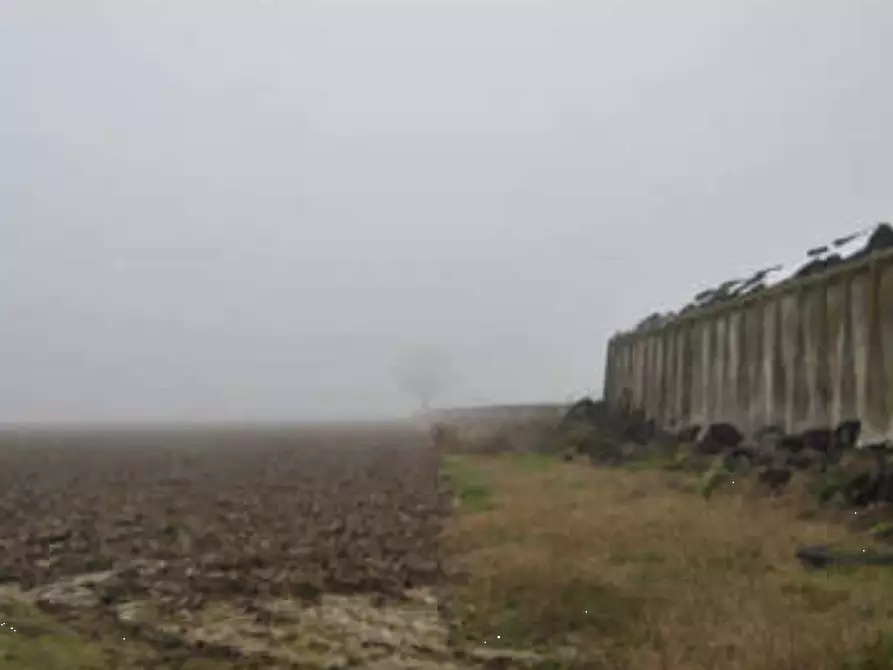 Immagine 8 di Rustico / casale in vendita  in Via Venenta a Argelato