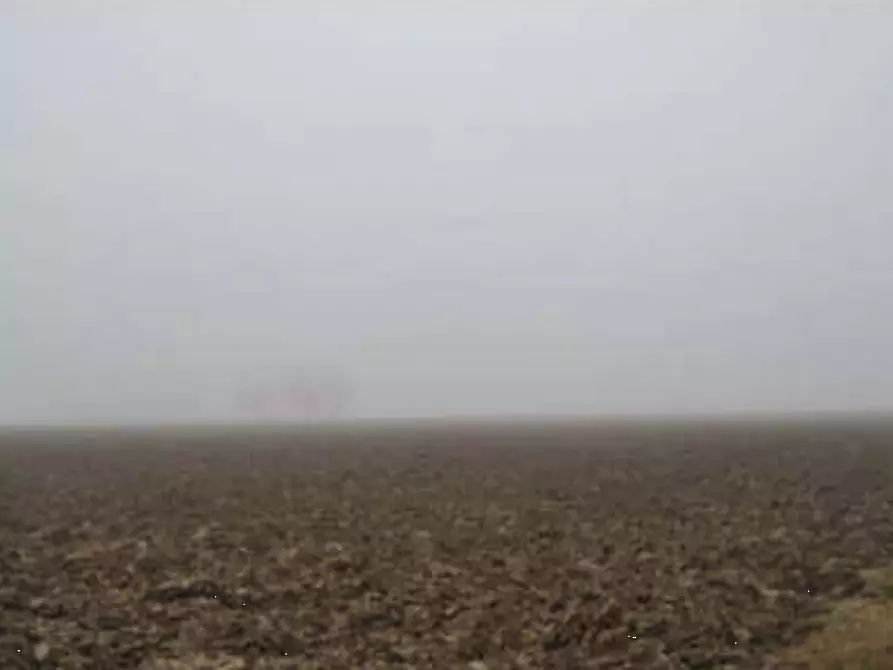 Immagine 9 di Rustico / casale in vendita  in Via Venenta a Argelato