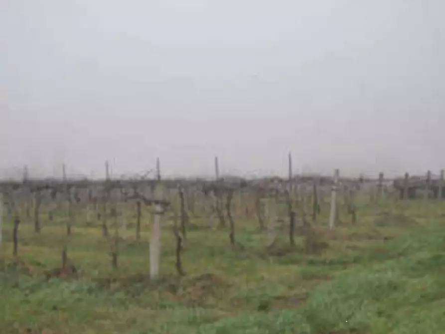 Immagine 10 di Rustico / casale in vendita  in Via Venenta a Argelato