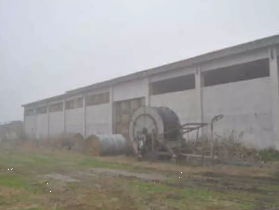 Immagine 4 di Rustico / casale in vendita  in Via Venenta a Argelato