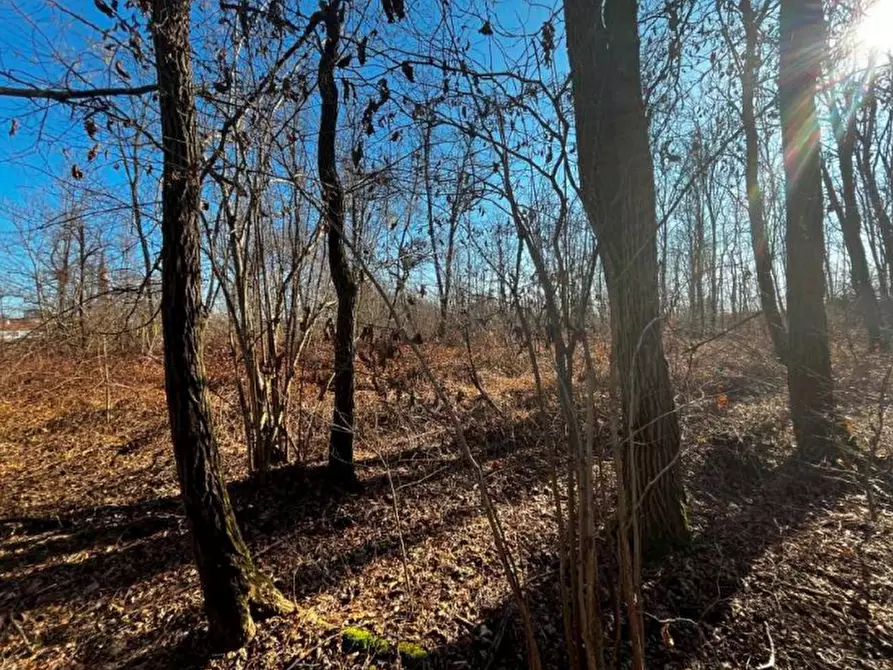 Immagine 1 di Terreno agricolo in vendita  in località Sernaglia della Battaglia a Sernaglia Della Battaglia