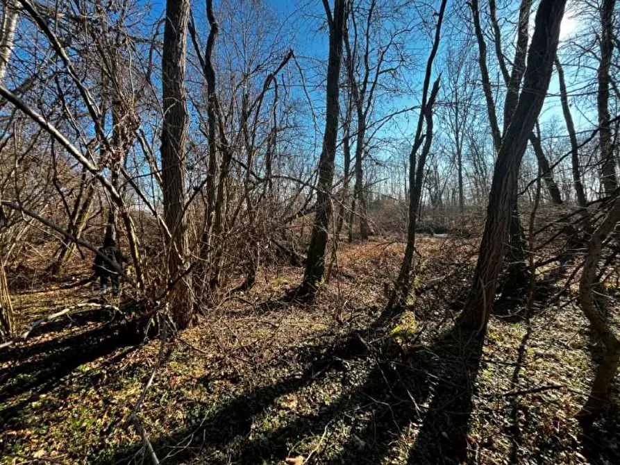 Immagine 5 di Terreno agricolo in vendita  in località Sernaglia della Battaglia a Sernaglia Della Battaglia