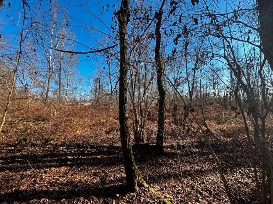 Immagine 6 di Terreno agricolo in vendita  in località Sernaglia della Battaglia a Sernaglia Della Battaglia