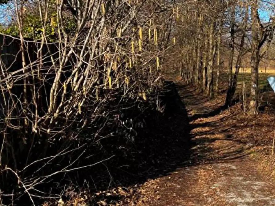Immagine 11 di Terreno agricolo in vendita  in località Sernaglia della Battaglia a Sernaglia Della Battaglia