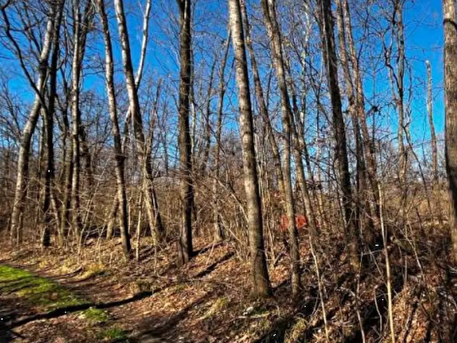 Immagine 12 di Terreno agricolo in vendita  in località Sernaglia della Battaglia a Sernaglia Della Battaglia