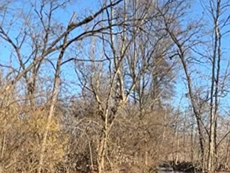Immagine 13 di Terreno agricolo in vendita  in località Sernaglia della Battaglia a Sernaglia Della Battaglia
