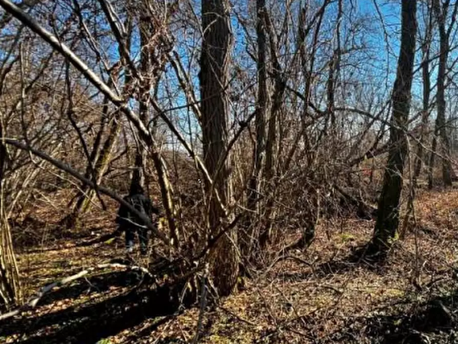 Immagine 14 di Terreno agricolo in vendita  in località Sernaglia della Battaglia a Sernaglia Della Battaglia