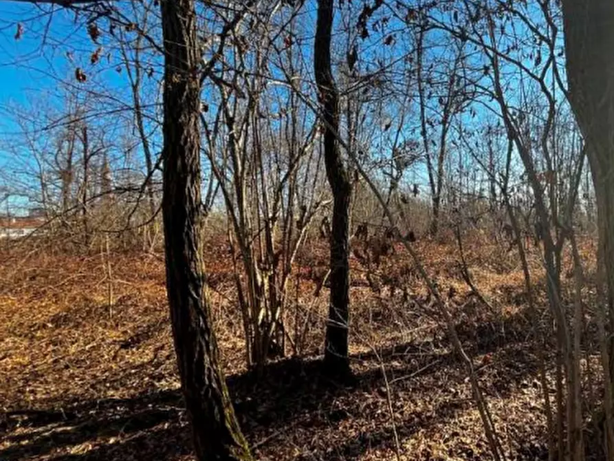 Immagine 15 di Terreno agricolo in vendita  in località Sernaglia della Battaglia a Sernaglia Della Battaglia