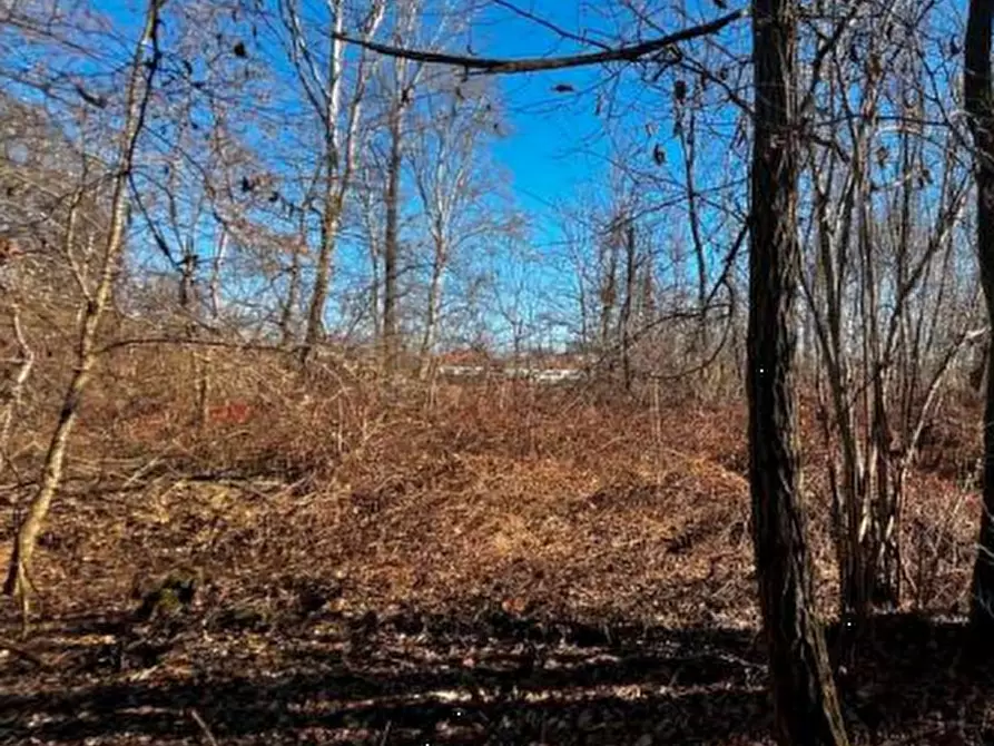 Immagine 16 di Terreno agricolo in vendita  in località Sernaglia della Battaglia a Sernaglia Della Battaglia