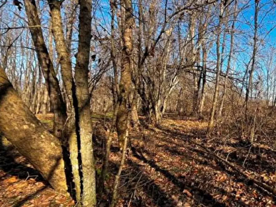Immagine 18 di Terreno agricolo in vendita  in località Sernaglia della Battaglia a Sernaglia Della Battaglia