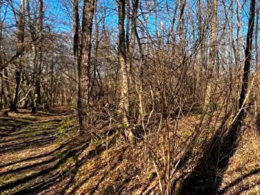 Immagine 19 di Terreno agricolo in vendita  in località Sernaglia della Battaglia a Sernaglia Della Battaglia