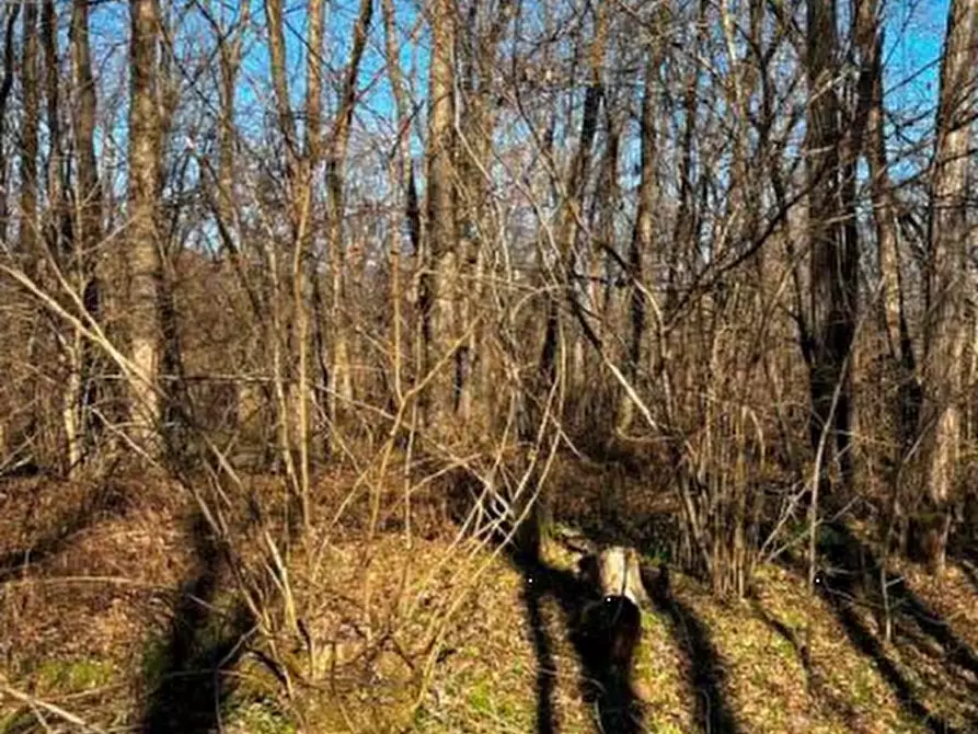 Immagine 20 di Terreno agricolo in vendita  in località Sernaglia della Battaglia a Sernaglia Della Battaglia