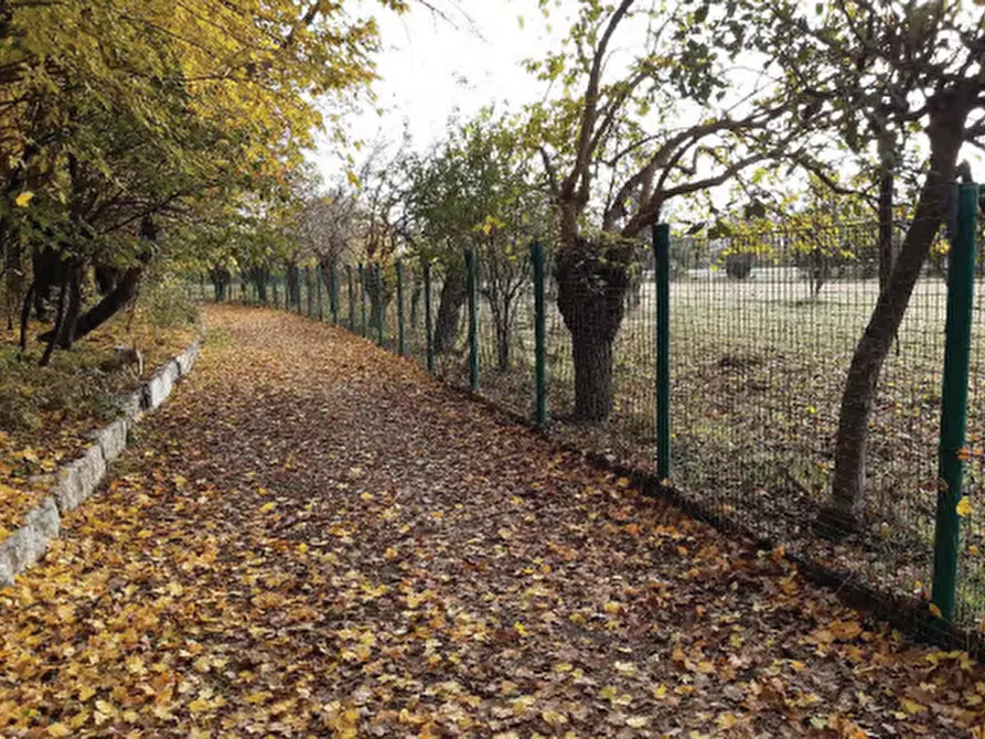 Immagine 8 di Capannone industriale in vendita  in Via San Pietro a Castello Di Godego