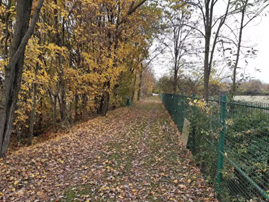Immagine 9 di Capannone industriale in vendita  in Via San Pietro a Castello Di Godego