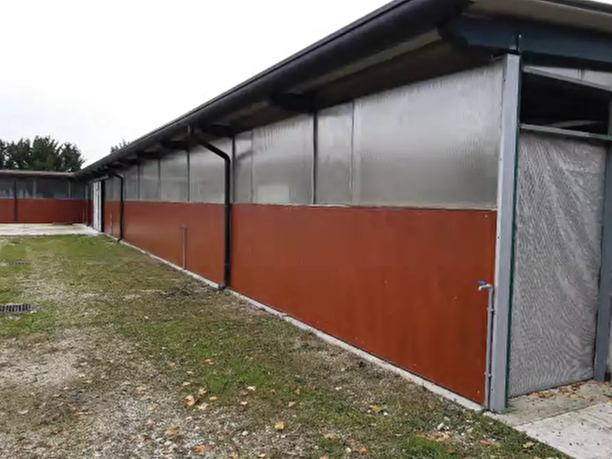 Immagine 14 di Capannone industriale in vendita  in Via San Pietro a Castello Di Godego
