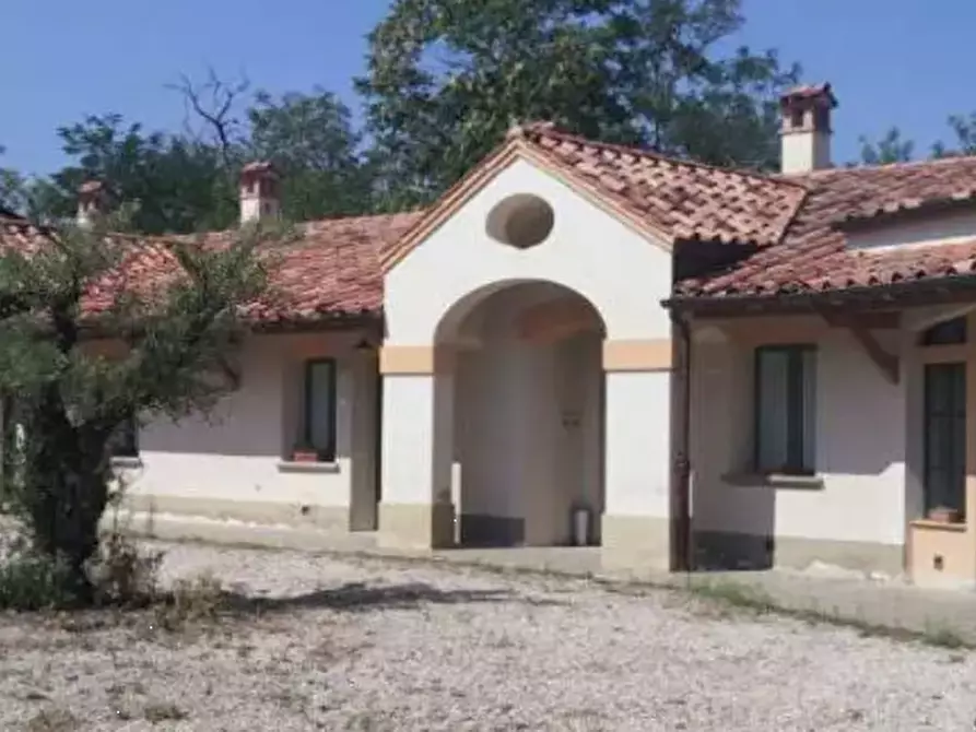 Immagine 6 di Azienda agricola in vendita  in Via dei Frati  a Modigliana