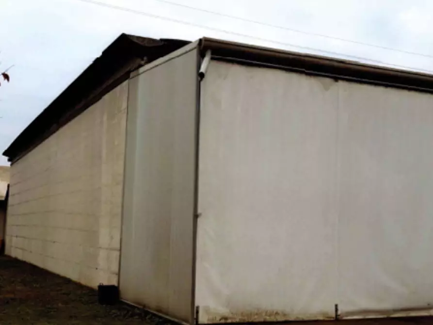 Immagine 4 di Casa indipendente in vendita  in Via Guizze San Pietro  a Camposampiero