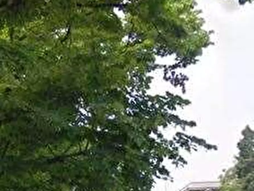 Immagine 11 di Appartamento in vendita  in Via Leonardo da Vinci a Brescia