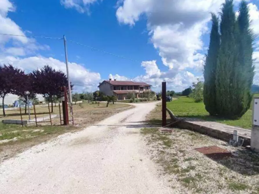 Immagine 4 di Villa in vendita  in Strada Rocca delle Caminate a Meldola