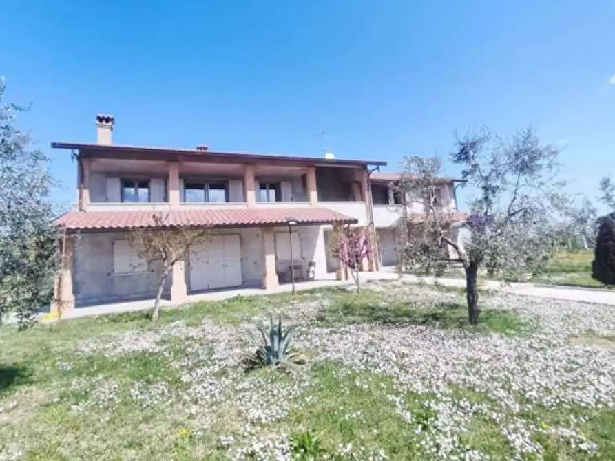 Immagine 6 di Villa in vendita  in Strada Rocca delle Caminate a Meldola