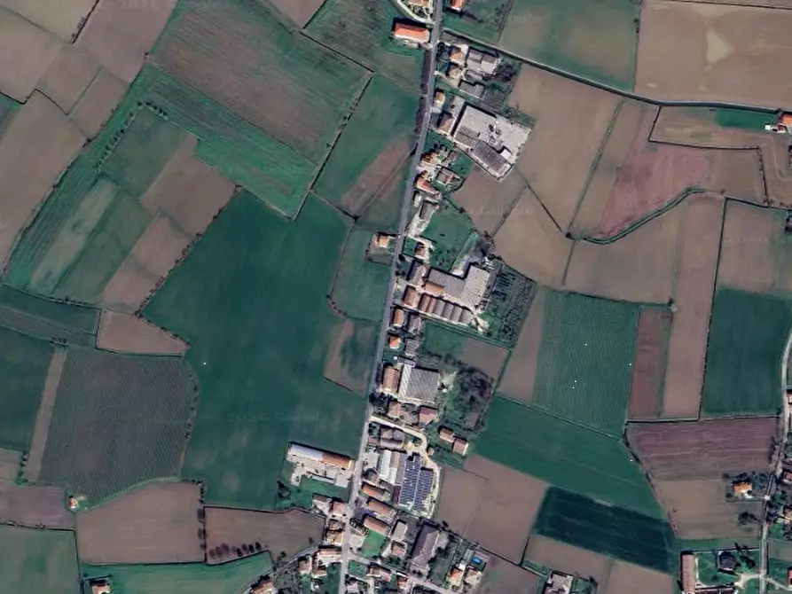 Immagine 11 di Casa indipendente in vendita  in Via belfiore a Casale Di Scodosia