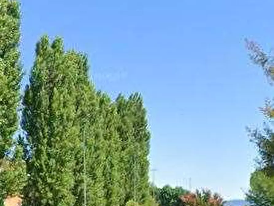 Immagine 5 di Negozio in vendita  in Via Mazzarona a Sirmione