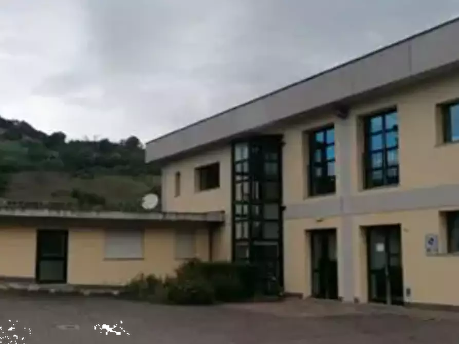 Immagine 2 di Capannone industriale in vendita  in Via Pietro Mascagni a Santa Sofia