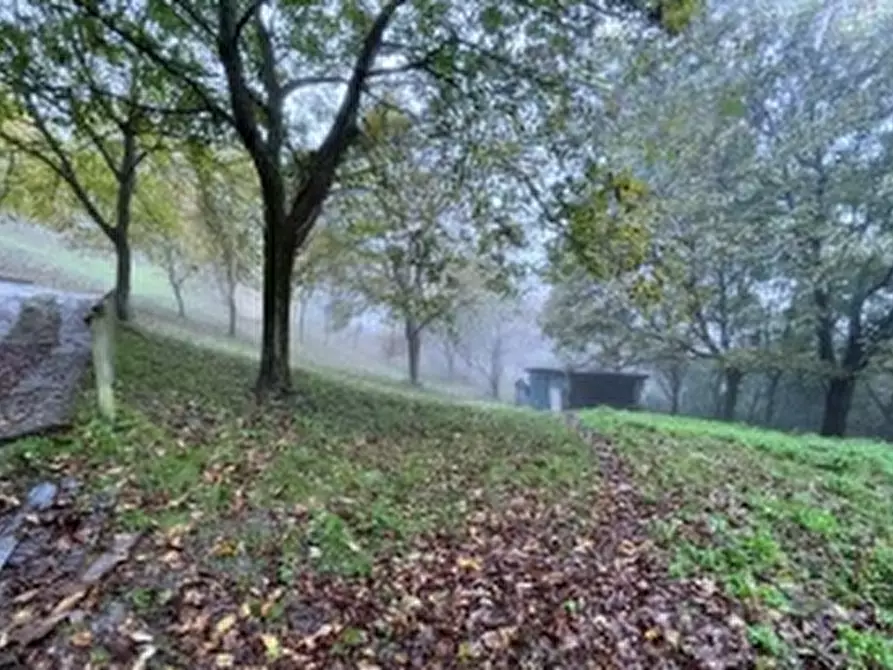 Immagine 1 di Terreno agricolo in vendita  in Località Pian Camuno a Pian Camuno