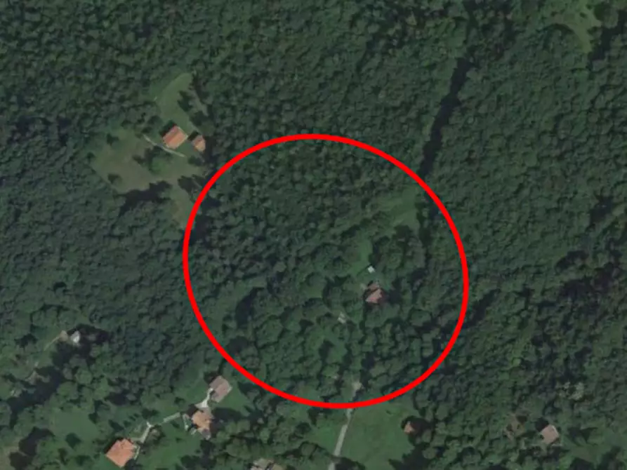 Immagine 7 di Terreno agricolo in vendita  in Località Pian Camuno a Pian Camuno