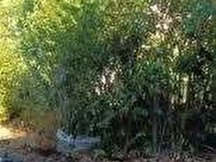 Immagine 4 di Appartamento in vendita  in Via Campagna di Sotto a Lonato del Garda