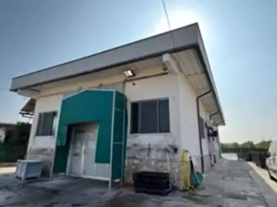 Immagine 4 di Capannone industriale in vendita  in  Via Riccadonna  a Zevio