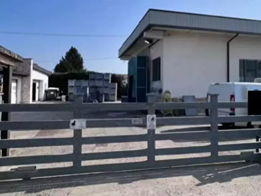 Immagine 7 di Capannone industriale in vendita  in  Via Riccadonna  a Zevio