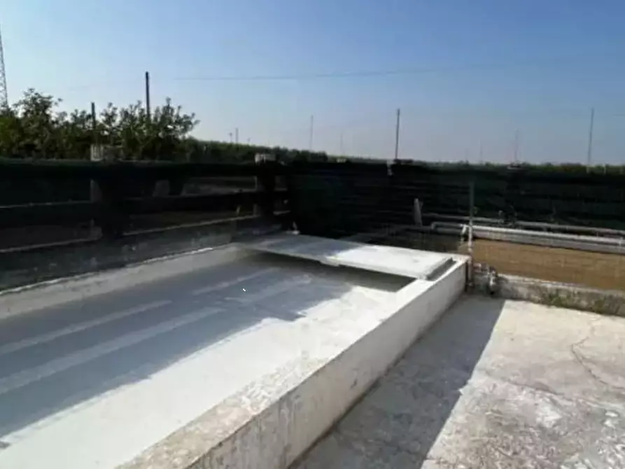 Immagine 8 di Capannone industriale in vendita  in  Via Riccadonna  a Zevio