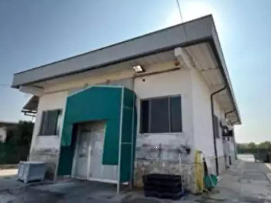 Immagine 10 di Capannone industriale in vendita  in  Via Riccadonna  a Zevio