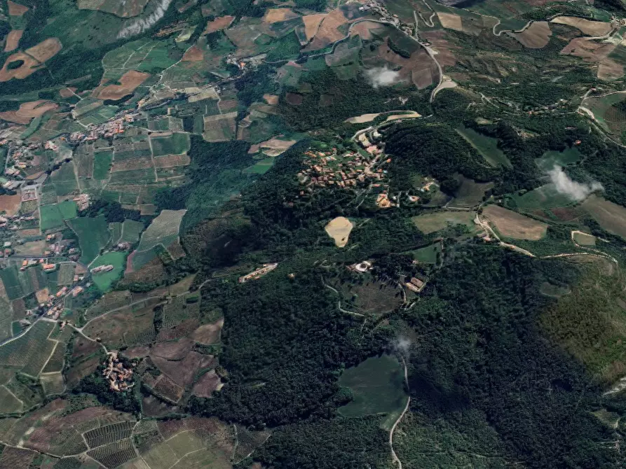 Immagine 13 di Negozio in vendita  in Via della Boatta a Fortunago