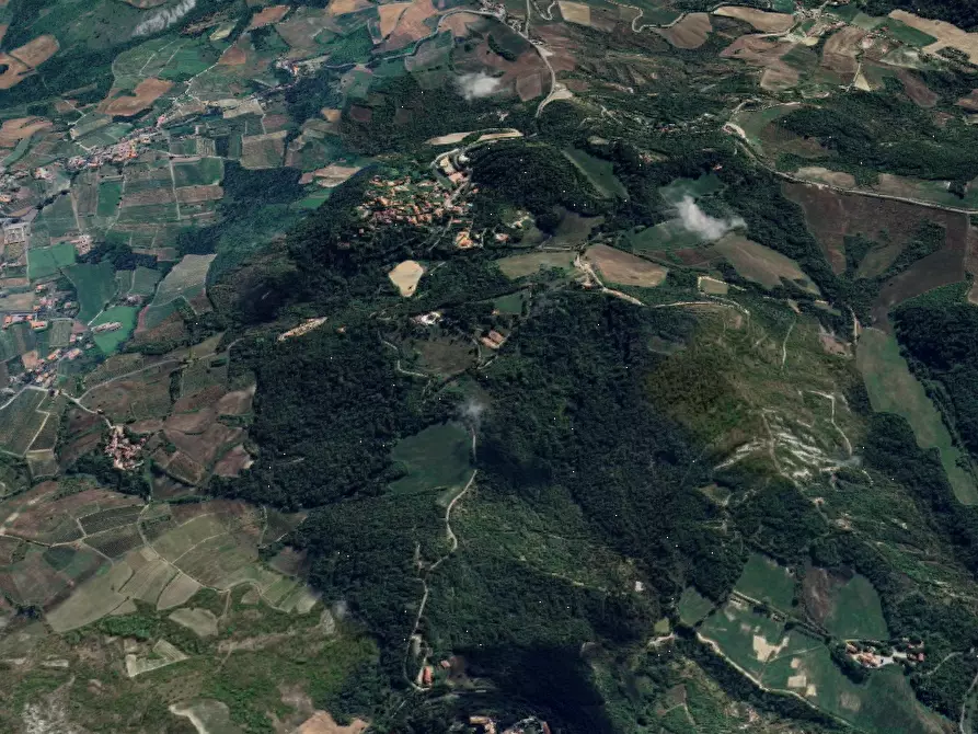 Immagine 14 di Negozio in vendita  in Via della Boatta a Fortunago