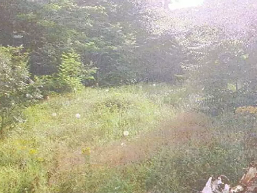 Immagine 3 di Terreno edificabile in vendita  in Via Gerbidi a Godiasco