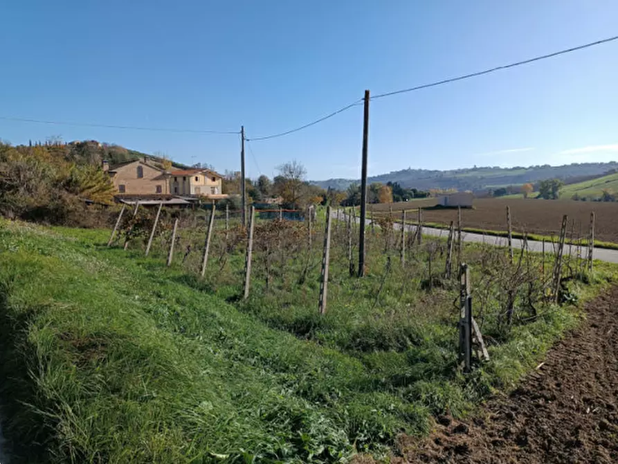 Immagine 18 di Villa in vendita  in Contrada Selve Lunghe a Francavilla D'ete