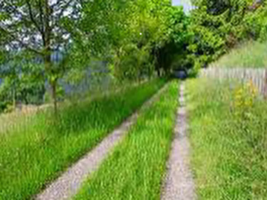 Immagine 15 di Villa in vendita  in Via Generale Graziani a Ferrara Di Monte Baldo