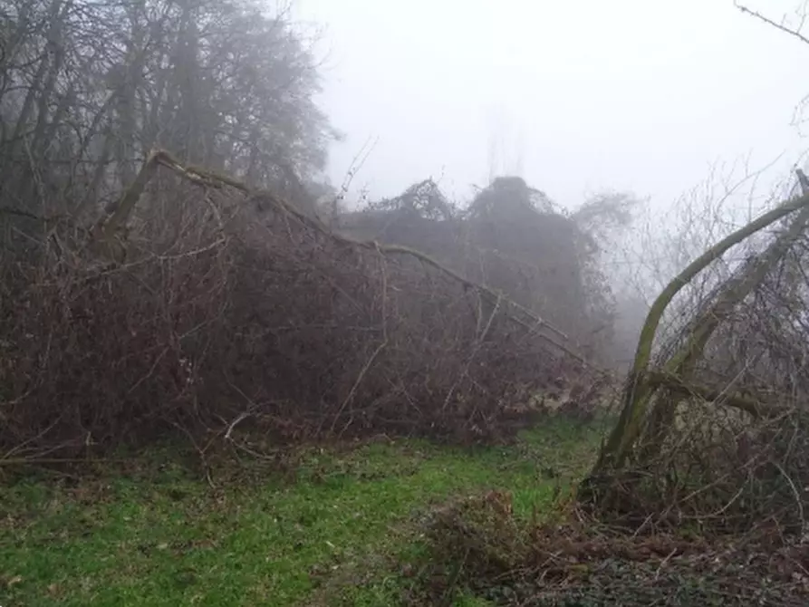 Immagine 2 di Casa indipendente in vendita  in Localita' Pioppina a Neviano Degli Arduini