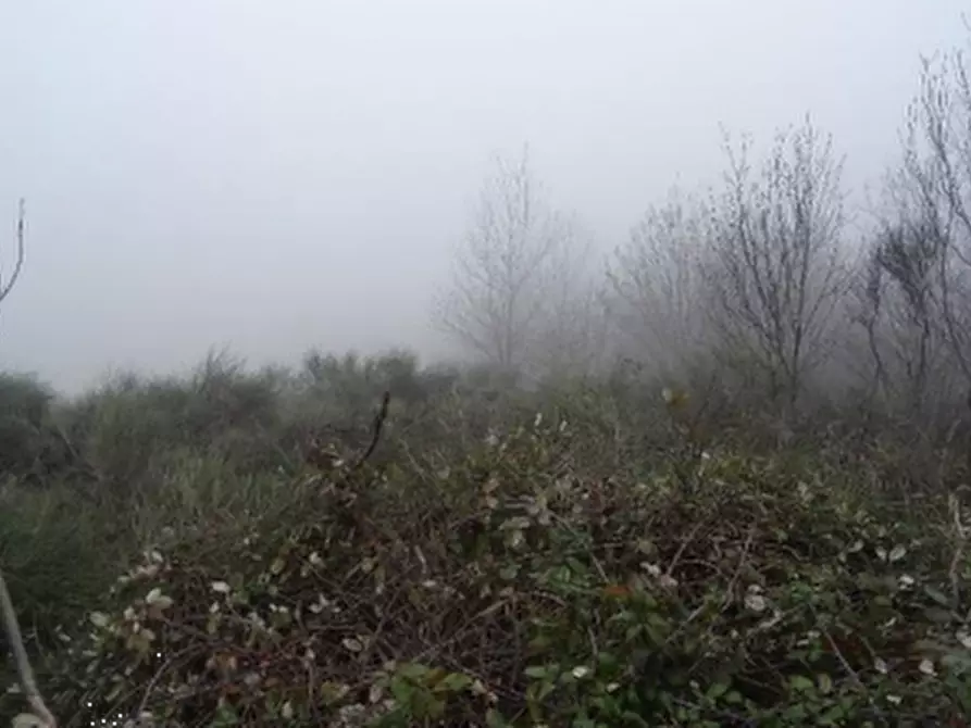 Immagine 1 di Casa indipendente in vendita  in Localita' Pioppina a Neviano Degli Arduini