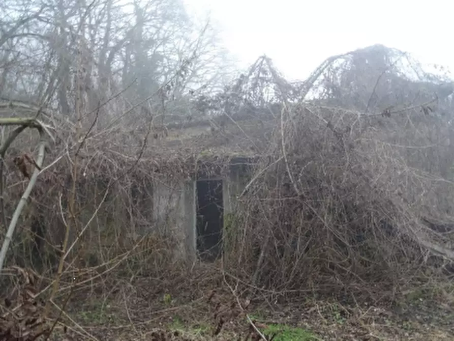 Immagine 3 di Casa indipendente in vendita  in Localita' Pioppina a Neviano Degli Arduini