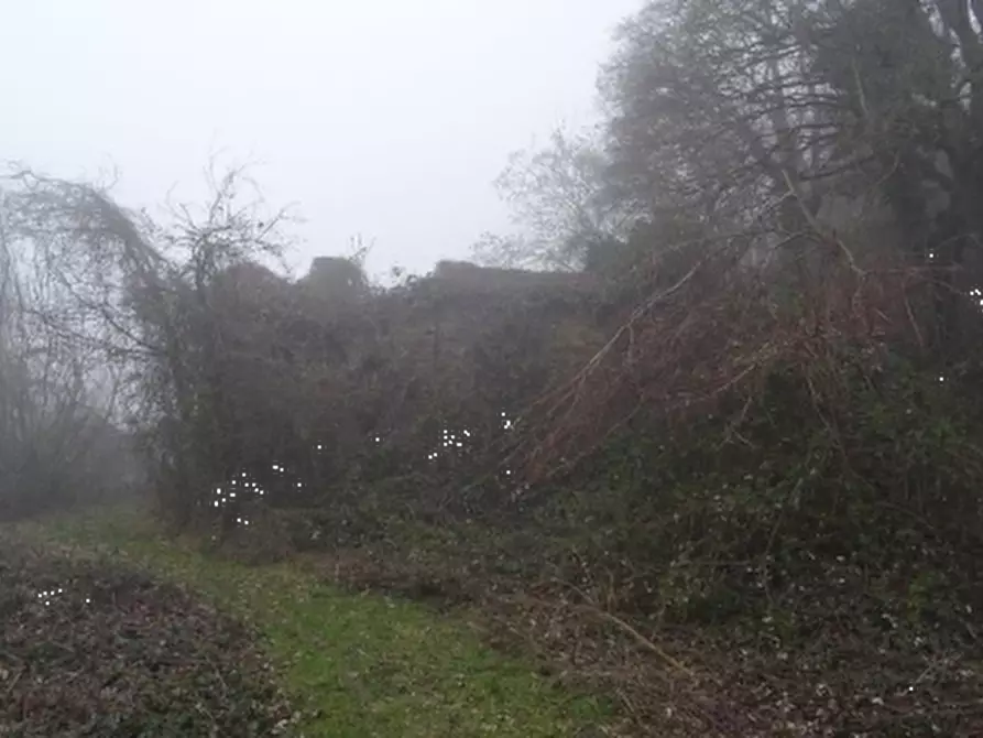 Immagine 5 di Casa indipendente in vendita  in Localita' Pioppina a Neviano Degli Arduini