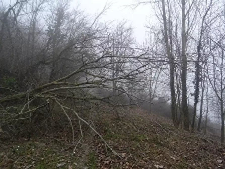Immagine 7 di Casa indipendente in vendita  in Localita' Pioppina a Neviano Degli Arduini