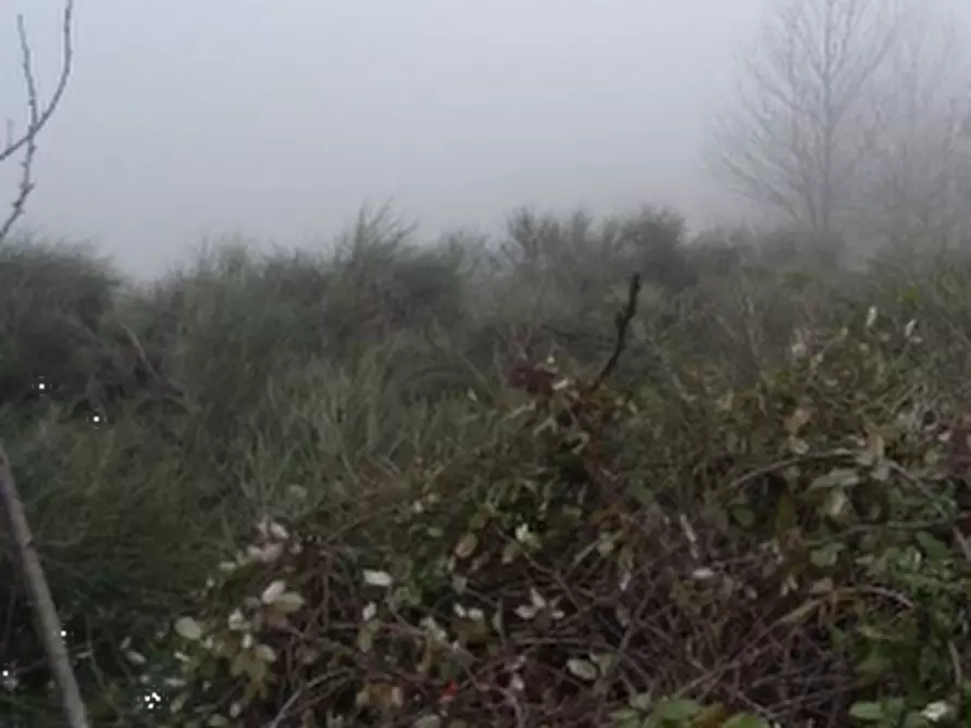 Immagine 8 di Casa indipendente in vendita  in Localita' Pioppina a Neviano Degli Arduini