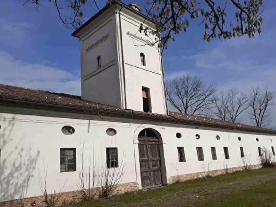 Immagine 2 di Magazzino in vendita  in Strada Bianca a Busseto