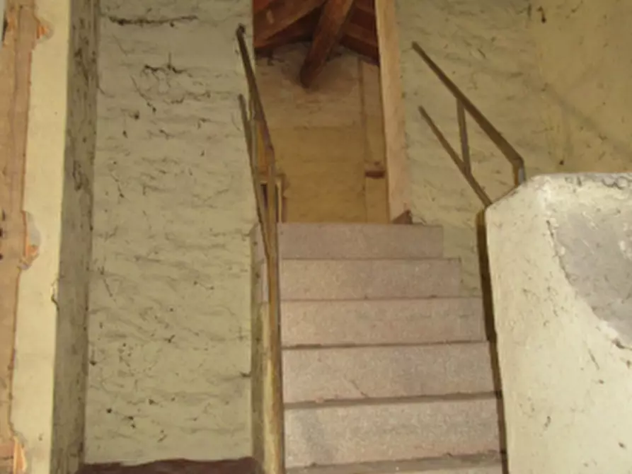 Immagine 12 di Magazzino in vendita  in Strada Bianca a Busseto