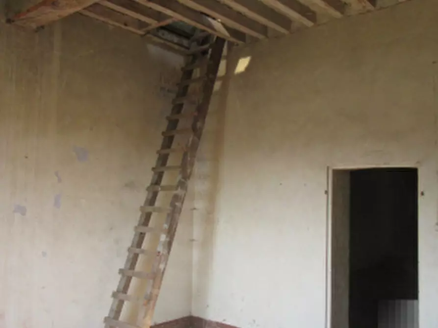 Immagine 13 di Magazzino in vendita  in Strada Bianca a Busseto