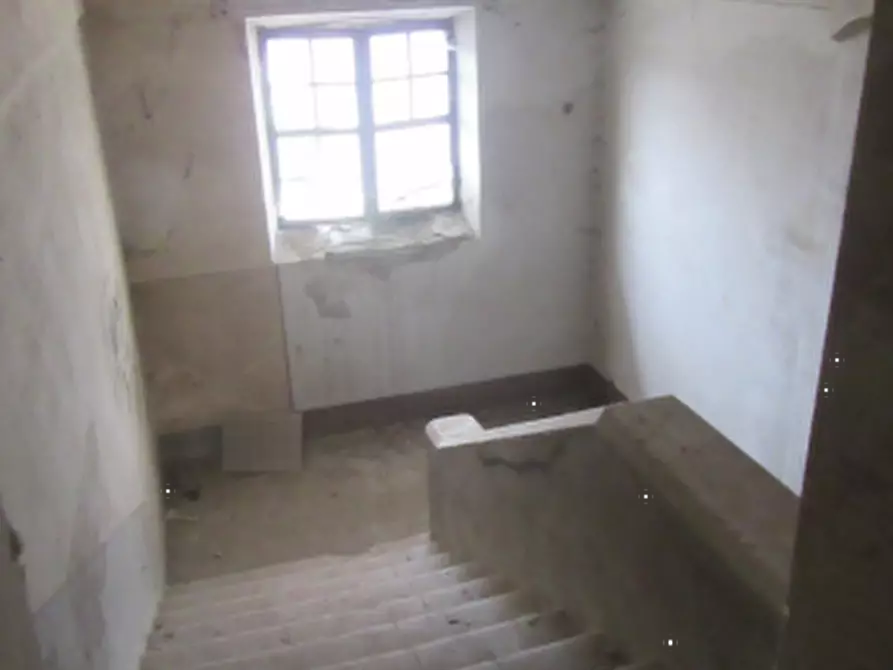 Immagine 14 di Magazzino in vendita  in Strada Bianca a Busseto