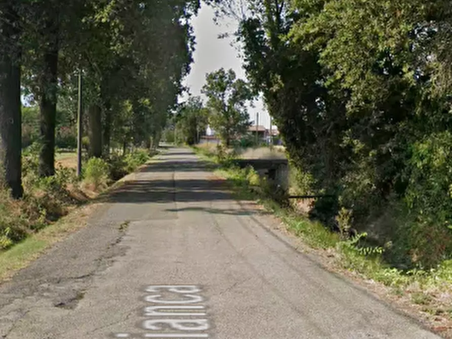 Immagine 19 di Magazzino in vendita  in Strada Bianca a Busseto